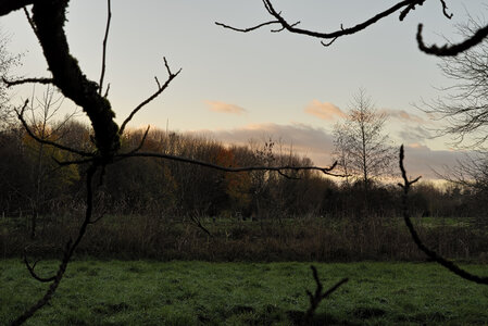 @fmbdx@piaille.fr 2024, Réserve des barrails - Bois de Bordeaux