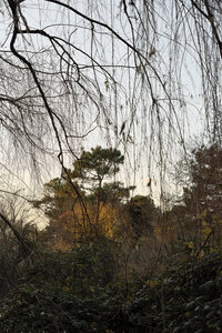 @fmbdx@piaille.fr 2024, Réserve des barrails - Bois de Bordeaux