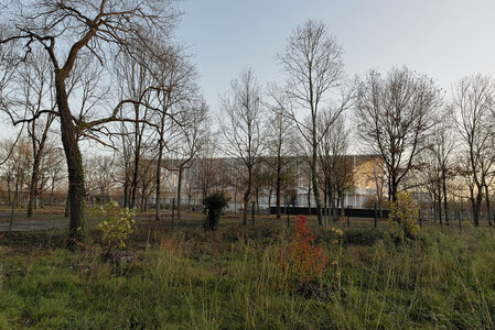 @fmbdx@piaille.fr 2024, Réserve des barrails - Bois de Bordeaux