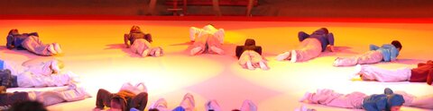 Gala de Gym Vihiers, DSC_0111