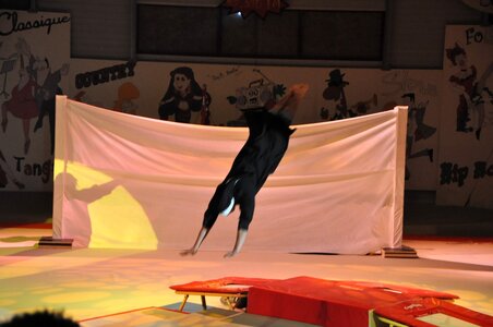 Gala de Gym Vihiers, DSC_0162
