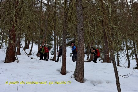 Raquettes à Ceillac, Raquettes à Ceillac 017