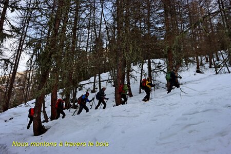 Raquettes à Ceillac, Raquettes à Ceillac 018