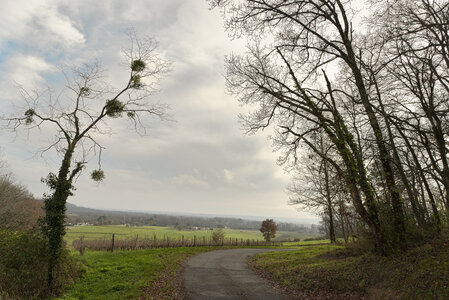 @fabienm@mastodon.zaclys.com 2025, Castillon-La-Bataille et ses environs