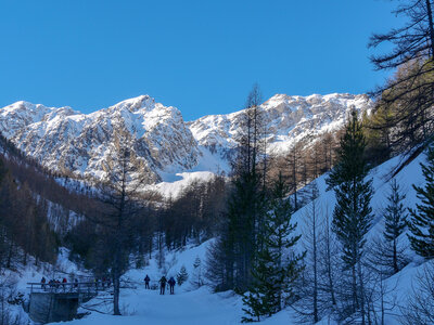 06-02-25 Arvieux Furfande, P1098073