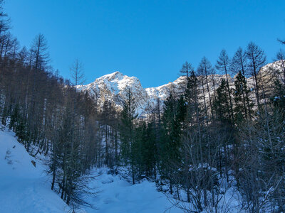 06-02-25 Arvieux Furfande, P1098074