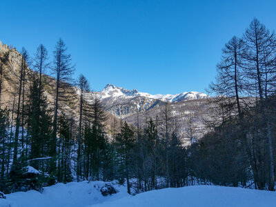 06-02-25 Arvieux Furfande, P1098078
