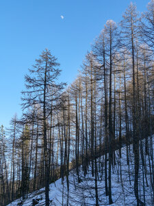 06-02-25 Arvieux Furfande, P1098082