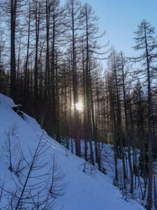 06-02-25 Arvieux Furfande, P1098084