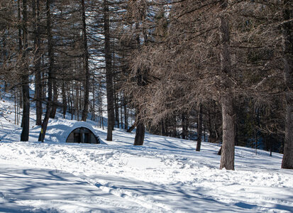 ARVIEUX La cabane du Plan Vallon, DSC_0240