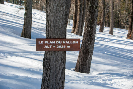 ARVIEUX La cabane du Plan Vallon, DSC_0241