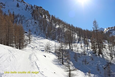 Vers le Col de Furfande, Vers le Col de Furfande 025