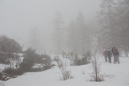 Col de la Gardette le 13 février 2025, DSC_0024