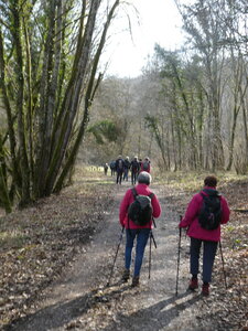 Val Suzon, au dessus de Saint-Fol le 20 février 2025, P1080814