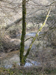 Val Suzon, au dessus de Saint-Fol le 20 février 2025, P1080817