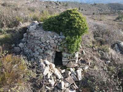 Les Orris de Campoussy, 65.Orri_Ca_65