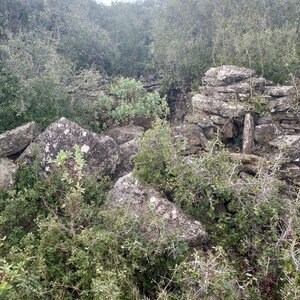photos-umap, 2025-03-POI8 - capitelle des sou