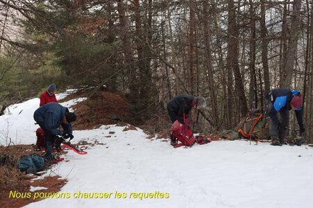 Boucle en raquettes au Chalets du Mélézin , Boucle des  Chalets du Mélézin 003