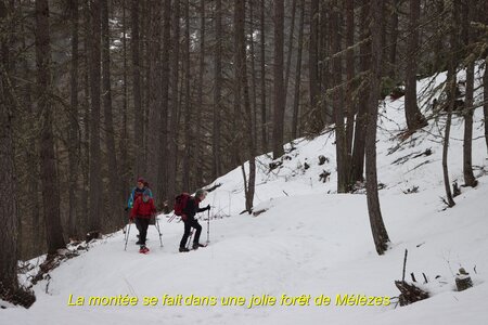Boucle en raquettes au Chalets du Mélézin , Boucle des  Chalets du Mélézin 005