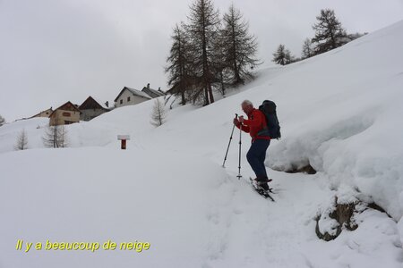 Boucle en raquettes au Chalets du Mélézin , Boucle des  Chalets du Mélézin 010