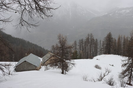 Boucle en raquettes au Chalets du Mélézin , Boucle des  Chalets du Mélézin 031