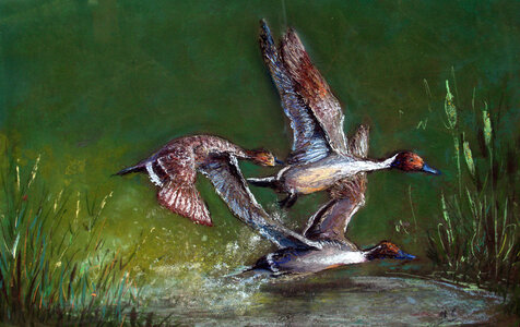 Peintures_Cadeaux_Jean_Vignon, IMG_1239.CR2