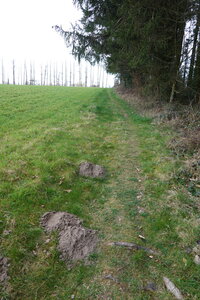 Lustin circuit carrière Acremonts, DSC07043