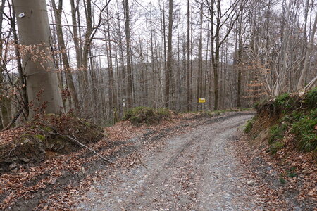 Lustin circuit carrière Acremonts, DSC07047