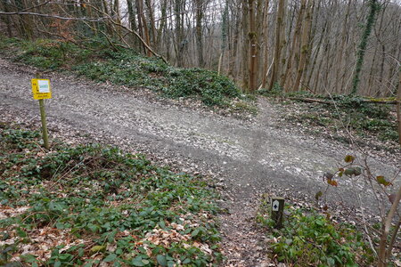 Lustin circuit carrière Acremonts, DSC07050