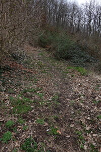 Lustin circuit carrière Acremonts, DSC07066
