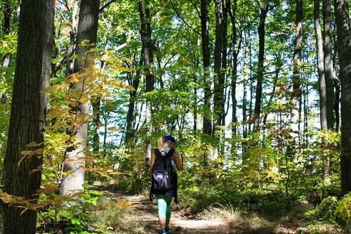 Une femme marche dans la forêt