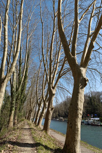 @fmbdx@piaille.fr 2025, Le canal de la Garonne entre Castets-en-Dorthe et La Réole