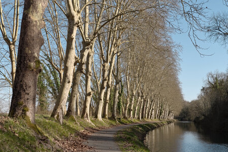 @fmbdx@piaille.fr 2025, Le canal de la Garonne entre Castets-en-Dorthe et La Réole