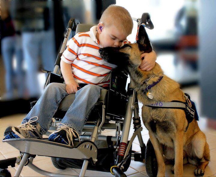 l'enfant handicapé et le chien fidèle