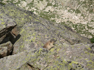 mousnier, encantats 2010 098