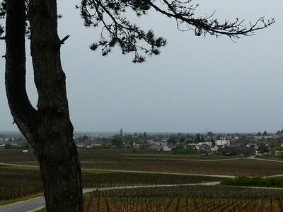 Plateau de Chenôve le 17 avril 2025, P1090556