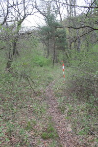 2015-04-13 ROCHE AMERE 2025, IMG_1112