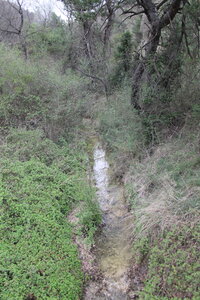 2015-04-13 ROCHE AMERE 2025, IMG_1117