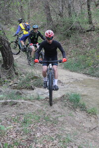 2015-04-13 ROCHE AMERE 2025, IMG_1635