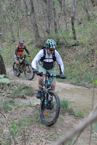 2015-04-13 ROCHE AMERE 2025, IMG_1658