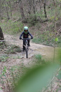2015-04-13 ROCHE AMERE 2025, IMG_1762