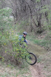 2015-04-13 ROCHE AMERE 2025, IMG_1805