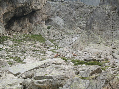 mousnier, encantats 2010 034