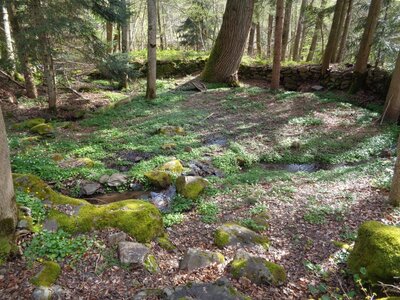 Moulins de Blanlhac et d'aval, étang-Vérots-1