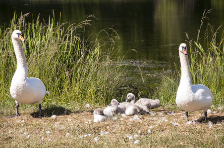 2011 2012, DSC_7252