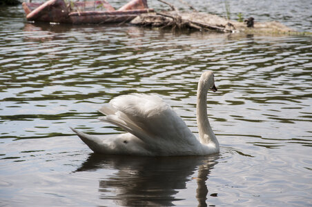 2011 2012, DSC_7630