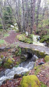Moulins de Blanlhac et d'aval, Le Ran-dessus le petit moulin-29-04-24
