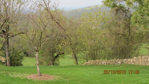 Lugan (Aveyron), IMG_0206