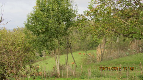 Lugan (Aveyron), IMG_0207