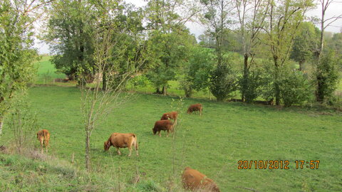 Lugan (Aveyron), IMG_0224